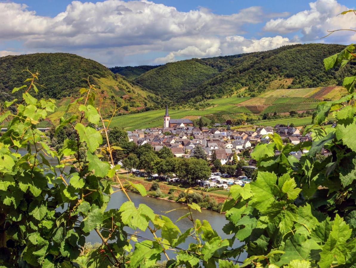 Moselhof Ferienwohnungen Bruttig-Fankel Ngoại thất bức ảnh